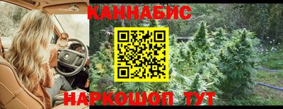 спайс Аша