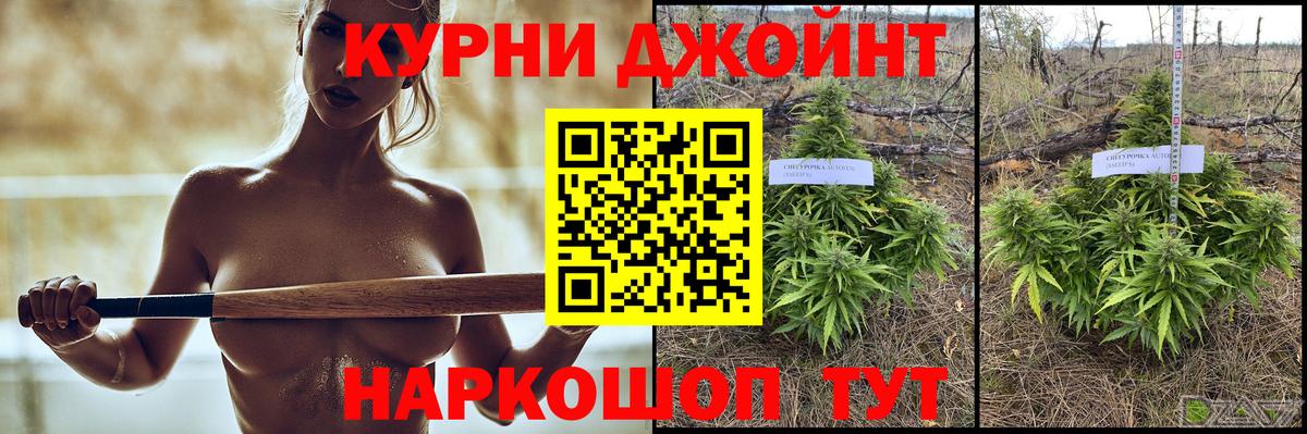 Бошки марихуана семена Урус-Мартан